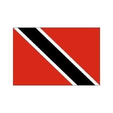 Repossessed Homes For Sale In Trinidad 2024 PropertyCozy Com   Trinidad Flag 