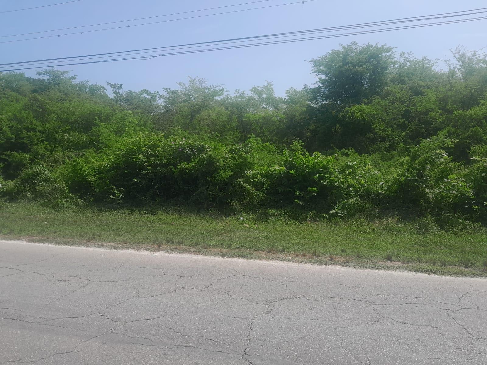 26 Acres of land for sale in Hodges, Black River, St. Elizabeth