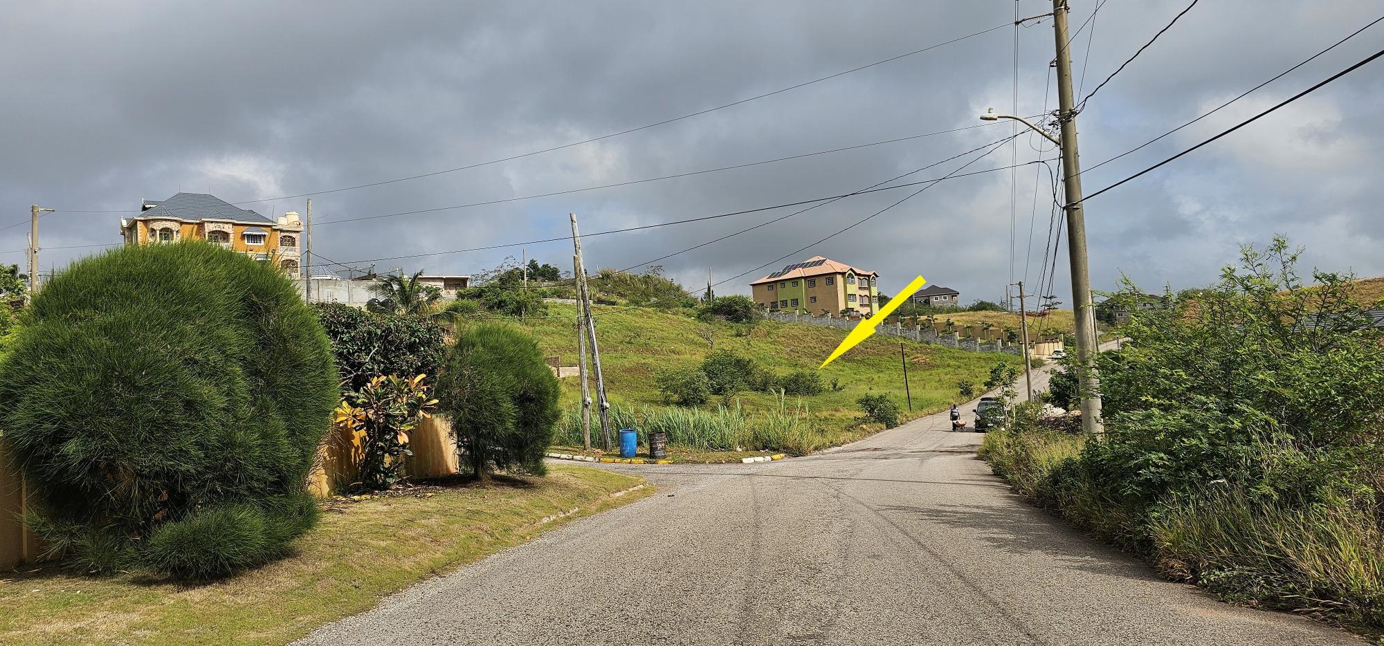 1/3 Acre land for sale in New Wales Manchester