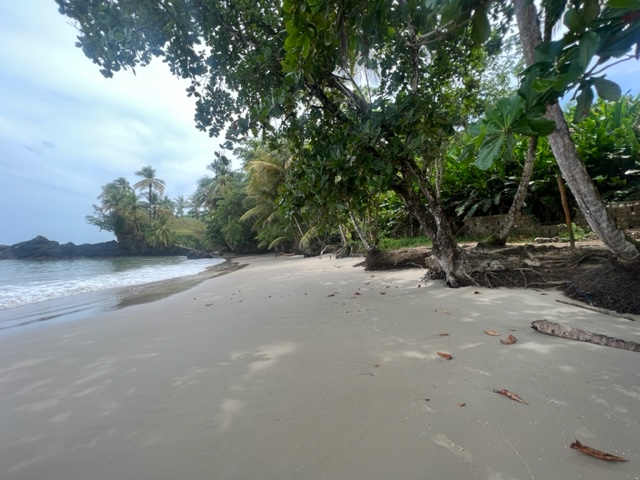 Land for sale in Blanchisseuse