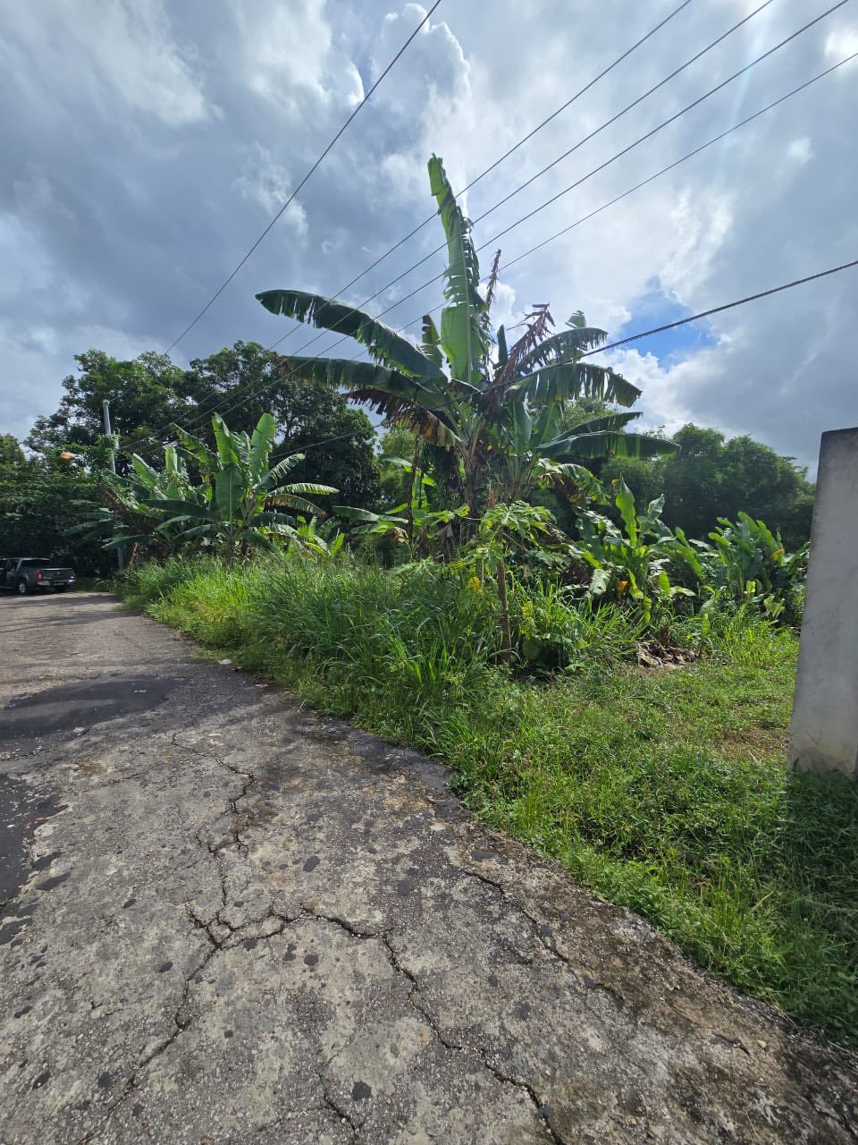 Residential plot at South Oropouche