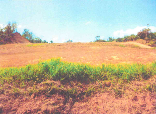 Land for sale in Moruga